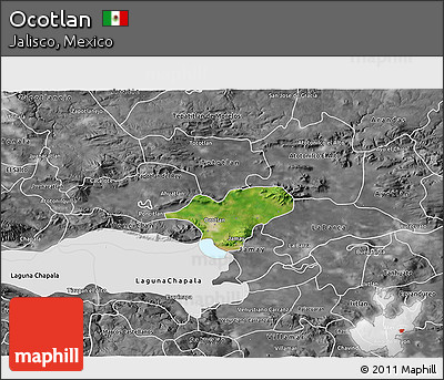 Satellite 3D Map of Ocotlan, desaturated