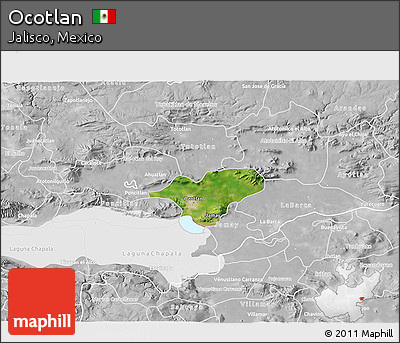 Satellite 3D Map of Ocotlan, lighten, desaturated