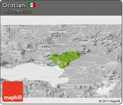 Satellite 3D Map of Ocotlan, lighten, desaturated