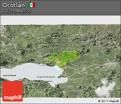 Satellite 3D Map of Ocotlan, semi-desaturated