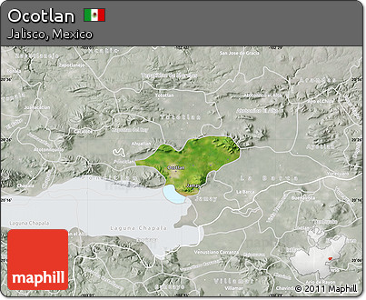 Satellite Map of Ocotlan, lighten, semi-desaturated