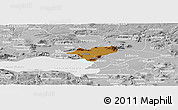 Physical Panoramic Map of Ocotlan, lighten, desaturated