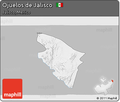 Gray 3D Map of Ojuelos De Jalisco, single color outside