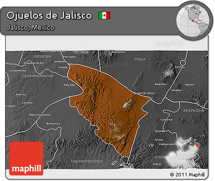 Physical 3D Map of Ojuelos De Jalisco, desaturated
