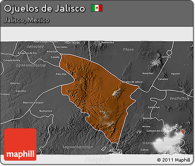 Physical 3D Map of Ojuelos De Jalisco, desaturated