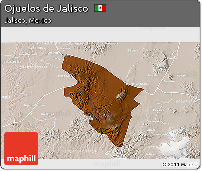 Physical 3D Map of Ojuelos De Jalisco, lighten