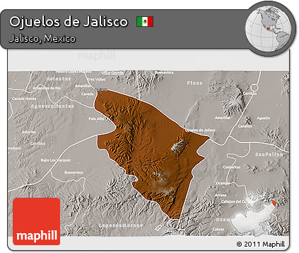 Physical 3D Map of Ojuelos De Jalisco, lighten, semi-desaturated