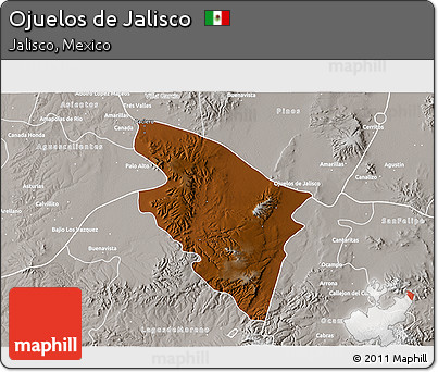 Physical 3D Map of Ojuelos De Jalisco, lighten, semi-desaturated