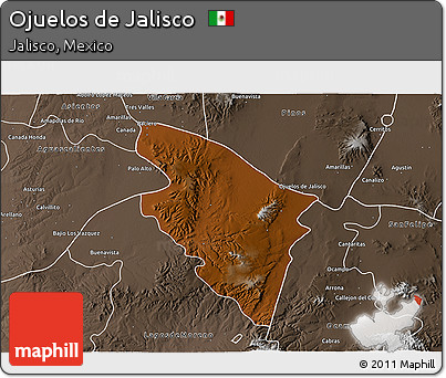 Physical 3D Map of Ojuelos De Jalisco, semi-desaturated