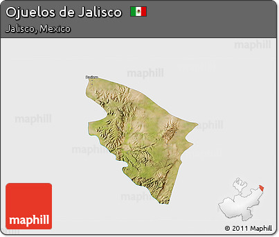 Satellite 3D Map of Ojuelos De Jalisco, single color outside