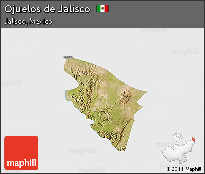 Satellite 3D Map of Ojuelos De Jalisco, single color outside