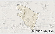 Shaded Relief 3D Map of Ojuelos de Jalisco, lighten