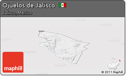 Silver Style Panoramic Map of Ojuelos De Jalisco, single color outside