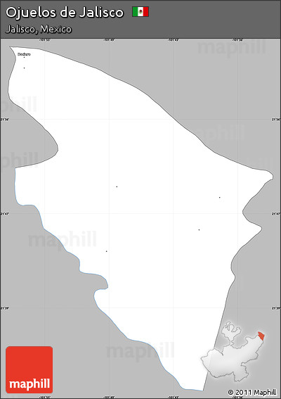 Gray Simple Map of Ojuelos De Jalisco, single color outside