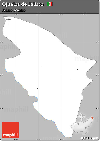 Gray Simple Map of Ojuelos De Jalisco, single color outside