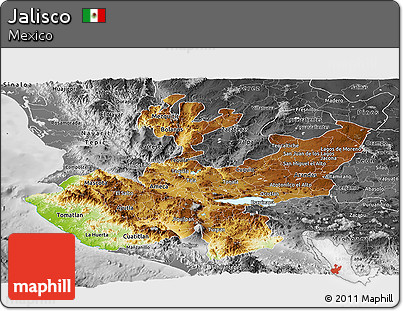 Physical Panoramic Map of Jalisco, desaturated