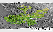 Satellite Panoramic Map of Jalisco, desaturated