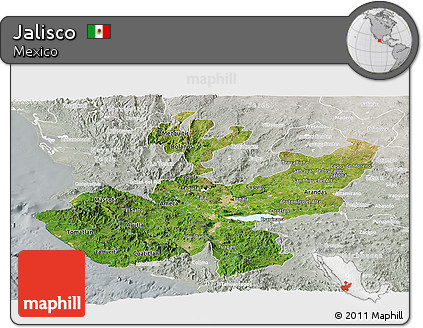 Satellite Panoramic Map of Jalisco, lighten, semi-desaturated