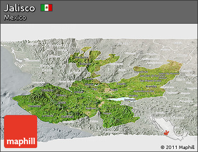 Satellite Panoramic Map of Jalisco, lighten, semi-desaturated