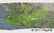 Satellite Panoramic Map of Jalisco, semi-desaturated