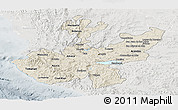 Shaded Relief Panoramic Map of Jalisco, lighten, semi-desaturated