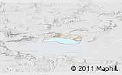 Shaded Relief 3D Map of Poncitlan, lighten, semi-desaturated