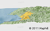 Savanna Style Panoramic Map of Puerto Vallarta