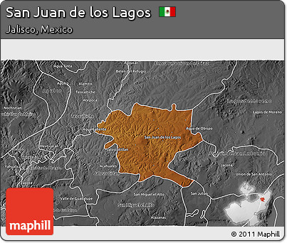 Physical 3D Map of San Juan De Los Lagos, desaturated
