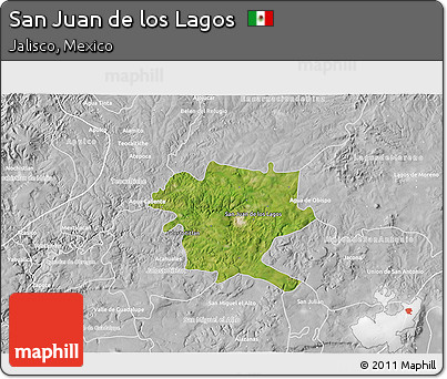 Satellite 3D Map of San Juan De Los Lagos, lighten, desaturated