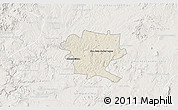 Shaded Relief 3D Map of San Juan de los Lagos, lighten