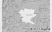 Gray Map of San Juan de los Lagos