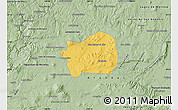 Savanna Style Map of San Miguel el Alto
