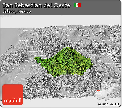 Satellite 3D Map of San Sebastian Del Oeste, lighten, desaturated