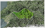 Satellite 3D Map of San Sebastian del Oeste, semi-desaturated