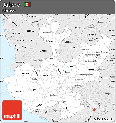 Silver Style Simple Map of Jalisco