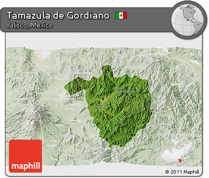 Satellite 3D Map of Tamazula De Gordiano, lighten