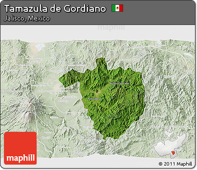 Satellite 3D Map of Tamazula De Gordiano, lighten