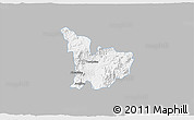 Gray 3D Map of Tecolotlan, single color outside