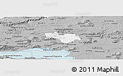 Gray Panoramic Map of Tototlan