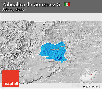 Political 3D Map of Yahualica De Gonzalez G., lighten, desaturated