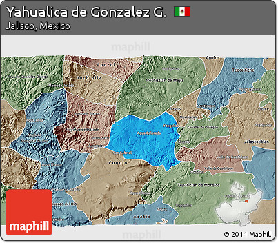 Political 3D Map of Yahualica De Gonzalez G., semi-desaturated