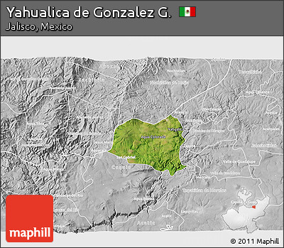 Satellite 3D Map of Yahualica De Gonzalez G., lighten, desaturated