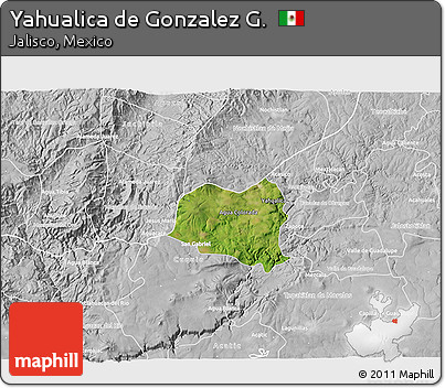 Satellite 3D Map of Yahualica De Gonzalez G., lighten, desaturated