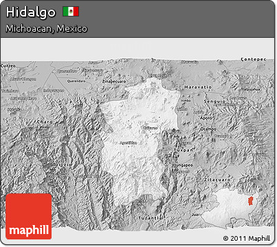 Gray 3D Map of Hidalgo
