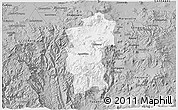 Gray 3D Map of Hidalgo