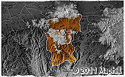 Physical 3D Map of Hidalgo, darken, desaturated