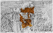 Physical 3D Map of Hidalgo, lighten, desaturated