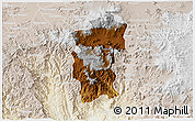 Physical 3D Map of Hidalgo, lighten