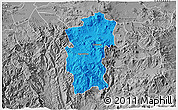 Political 3D Map of Hidalgo, desaturated