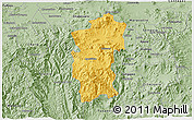 Savanna Style 3D Map of Hidalgo
